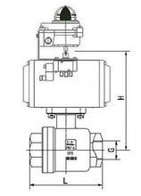 ���������򷧽ṹ