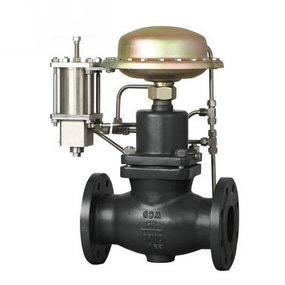 ��ָ��������ʽ���ڷ�