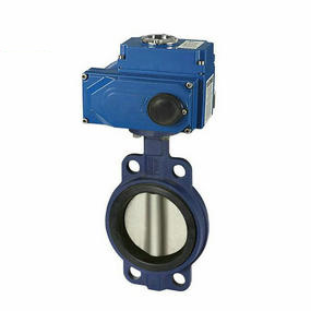 �綯���ߵ���