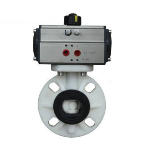 ����PP����