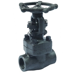 �͸ַſյ��ܷ�